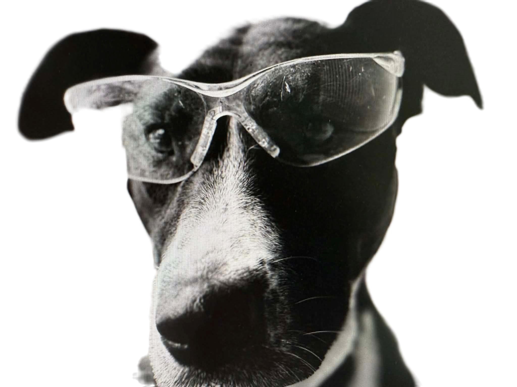 images/RS FERN SAFETY.JPG